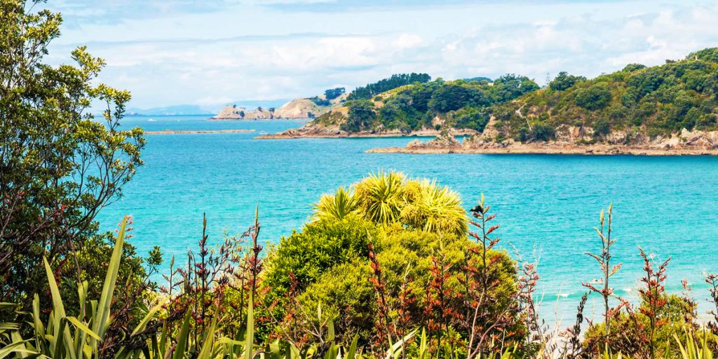 Waiheke’s rugged coastline and bay