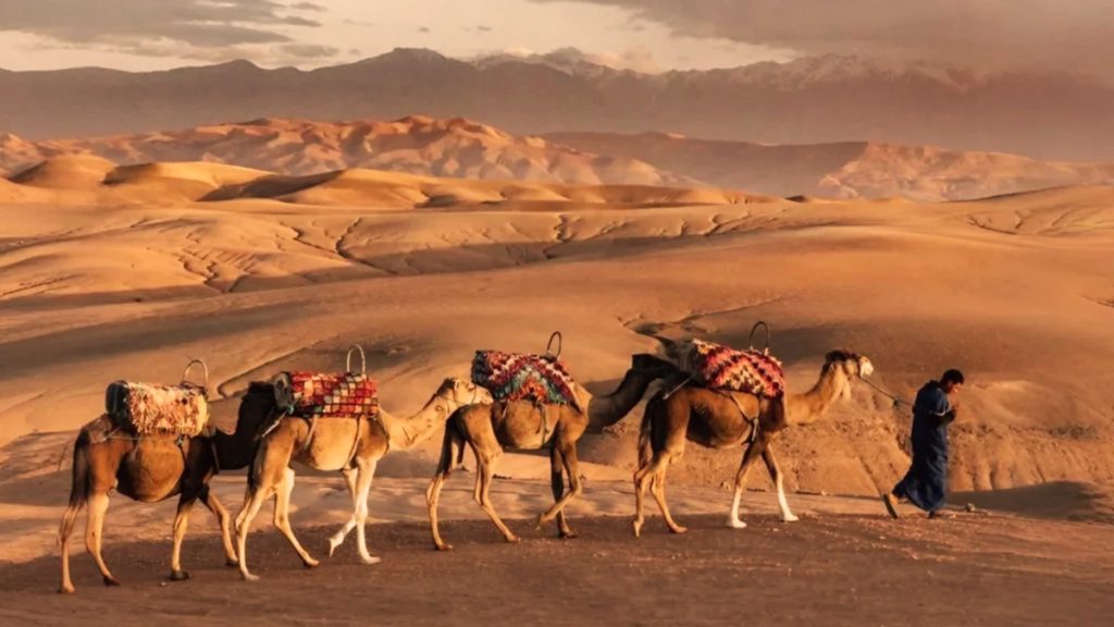 Golden dunes of the Agafay Desert just outside Marrakech
