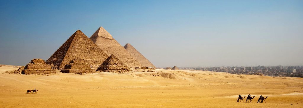 the Great Pyramids of Giza and camels