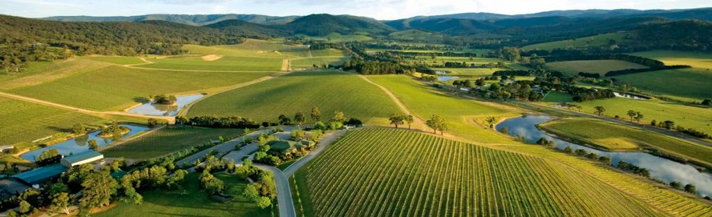Vineyards outside Melbourne Australia