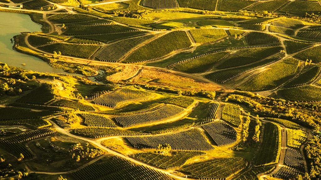 Canelones Wine Region