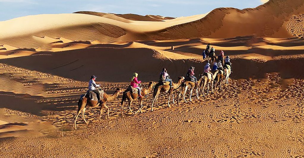 Thumamah National Park – A desert park north of the city popular for camel rides, dune bashing, and stargazing.