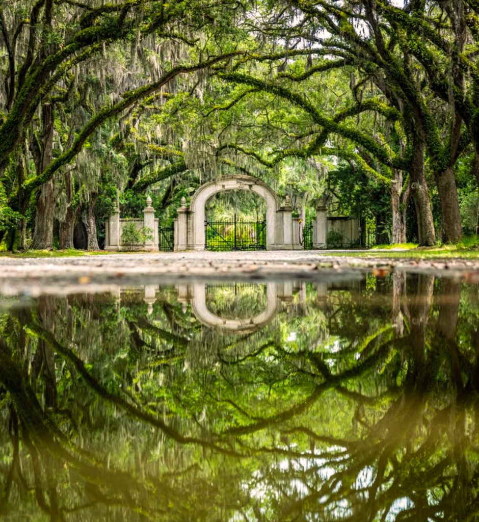 The Wormsloe Historic Site – A breathtaking oak avenue leading to colonial ruins.