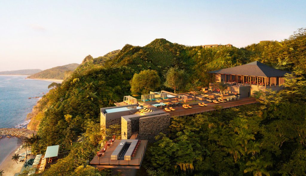 One and Only Mandarina