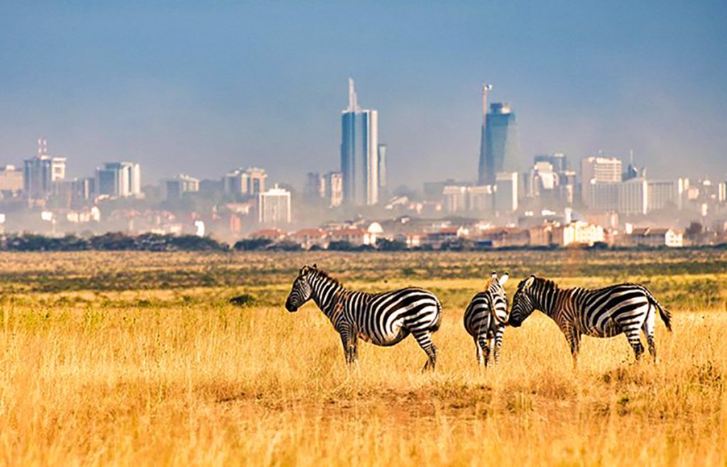 Nairobi National Park with zebras