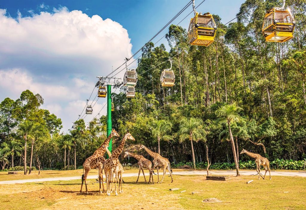 Scenic nature park in Guangzhou with lush greenery and tranquil landscapes