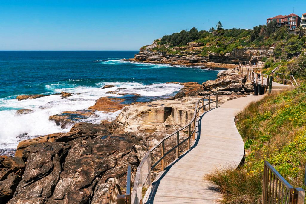 Hiking trail alone the ocean