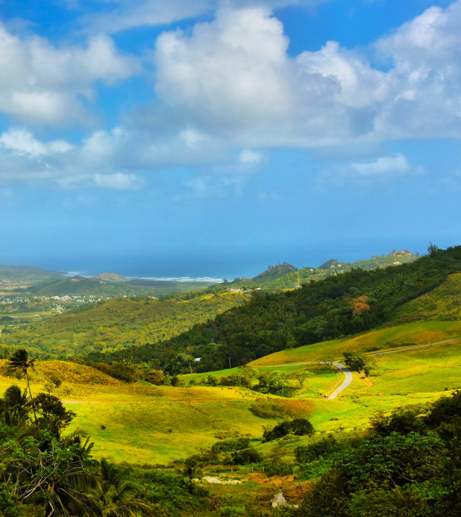 hills of Barbados