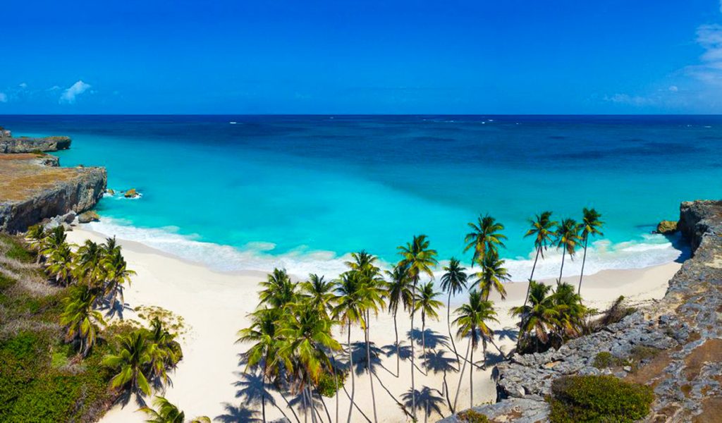 Barbados beach cliff