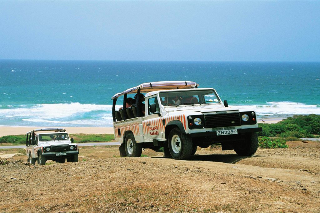 island safari tours