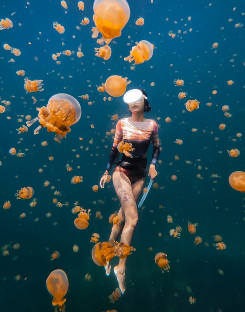 diver with jellyfish 